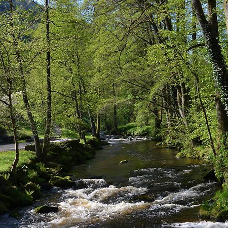 バート・ヴィルトバートWildbad Luftアパートメント エクステリア 写真